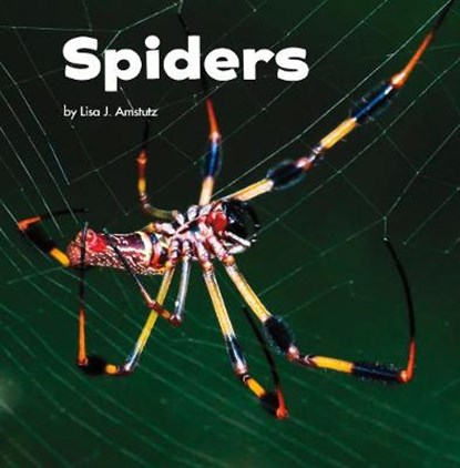 Spiders, AMSTUTZ,  Lisa J. - Paperback - 9781474747837