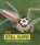 It's Still Alive!, Nikki (Digital Assoc. Editor) Potts - Gebonden - 9781474751612