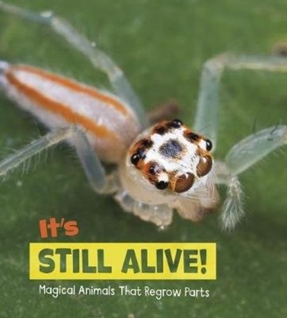 It's Still Alive!, Nikki (Digital Assoc. Editor) Potts - Gebonden - 9781474751612