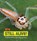 It's Still Alive!, Nikki Potts - Paperback - 9781474751650