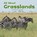 All About Grasslands, Christina Mia Gardeski - Gebonden - 9781474752664