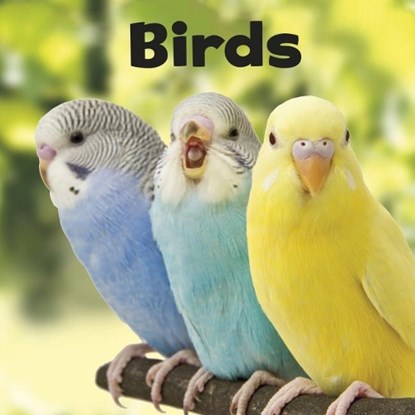 Birds, Lisa J. Amstutz - Paperback - 9781474754293