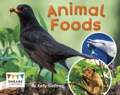 Animal Foods, Kelly Gaffney - Paperback - 9781474755931