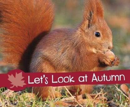Let's Look at Autumn, SCHUETTE,  Sarah L. - Paperback - 9781474756662