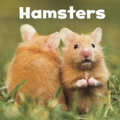 Hamsters, Lisa J. Amstutz - Gebonden - 9781474757133