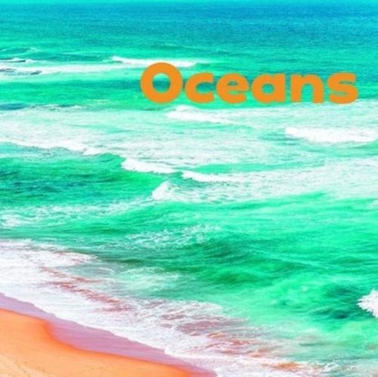 Oceans, Erika L. (Digital Editor) Shores - Gebonden - 9781474758369