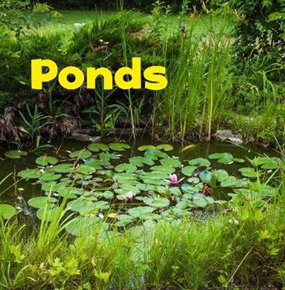 Ponds, Erika L. Shores - Gebonden - 9781474758376