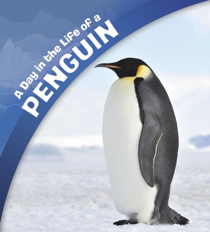 A Day in the Life of a Penguin, Sharon Katz Cooper - Paperback - 9781474758659