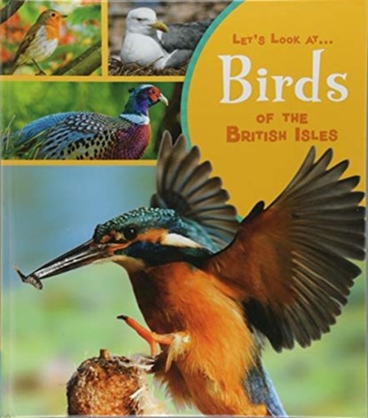 Birds of the British Isles, Lucy Beevor - Gebonden - 9781474763899