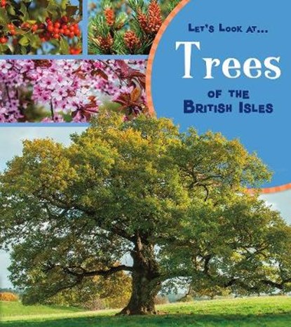 Trees of the British Isles, Lucy Beevor - Paperback - 9781474763912