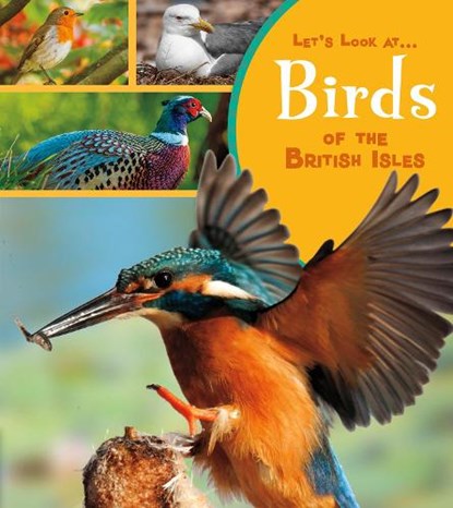 Birds of the British Isles, Lucy Beevor - Paperback - 9781474763936