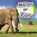 Near or Far, Wiley Blevins - Gebonden - 9781474768719