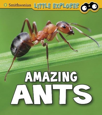 Amazing Ants, Megan Cooley Peterson - Paperback - 9781474770620