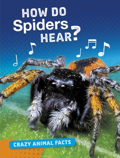 How Do Spiders Hear?, Nancy Furstinger - Paperback - 9781474773362