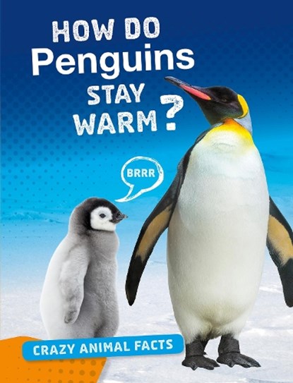 How Do Penguins Stay Warm?, Nancy Furstinger - Paperback - 9781474773393