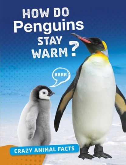 How Do Penguins Stay Warm?, Nancy Furstinger - Paperback - 9781474773393
