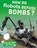 How Do Robots Defuse Bombs?, Yvette LaPierre - Paperback - 9781474773522