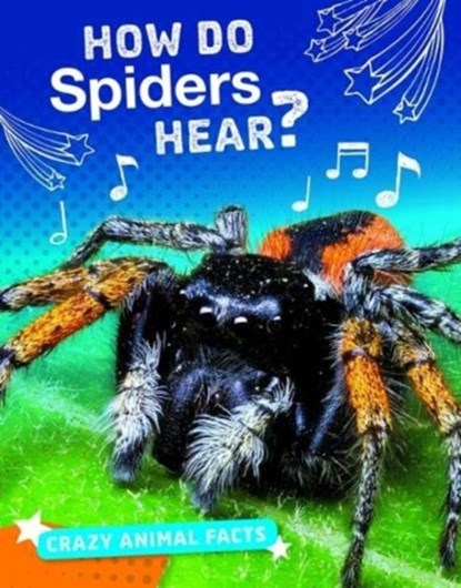 How Do Spiders Hear?, Nancy Furstinger - Gebonden - 9781474775120