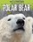 Polar Bear, Louise Spilsbury - Paperback - 9781474778015