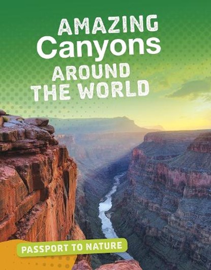 Amazing Canyons Around the World, Gail Terp - Paperback - 9781474781213
