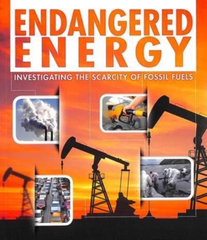 Endangered Energy, Rani Iyer - Paperback - 9781474792486