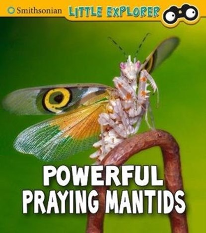 Powerful Praying Mantises, Melissa Higgins - Gebonden - 9781474794619