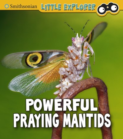 Powerful Praying Mantises, Melissa Higgins - Paperback - 9781474794756