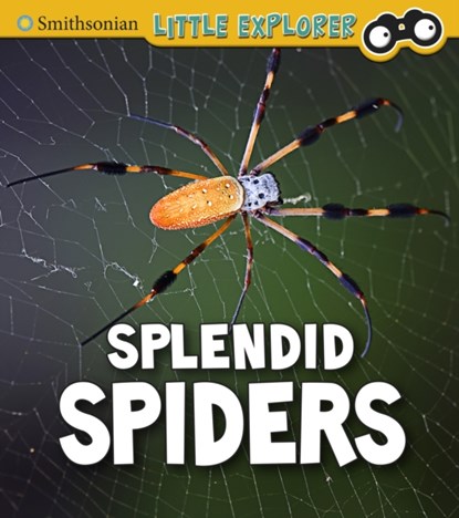 Splendid Spiders, Melissa Higgins - Paperback - 9781474794763