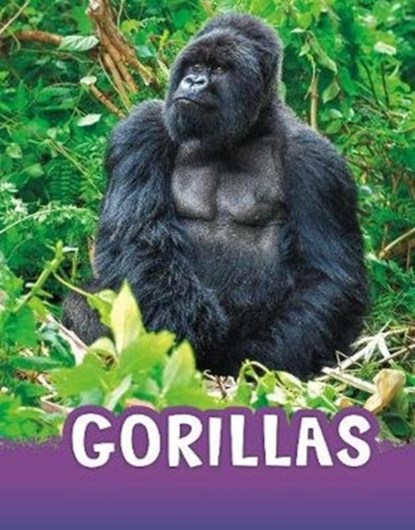 Gorillas, Jaclyn Jaycox - Gebonden - 9781474794909