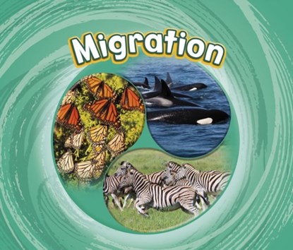 Migration, Jaclyn Jaycox - Paperback - 9781474795272