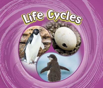 Life Cycles, Jaclyn Jaycox - Paperback - 9781474795296