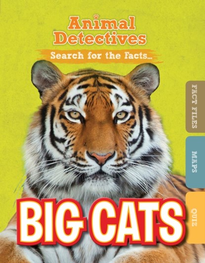 Big Cats, Anne O'Daly - Paperback - 9781474798518