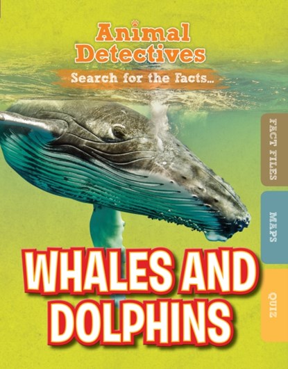 Whales and Dolphins, Anne O'Daly - Paperback - 9781474798556