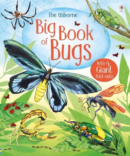 Big Book of Bugs, Emily Bone - Gebonden - 9781474928960