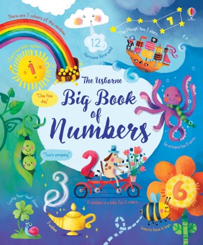 Big Book of Numbers, Felicity Brooks - Gebonden - 9781474937191