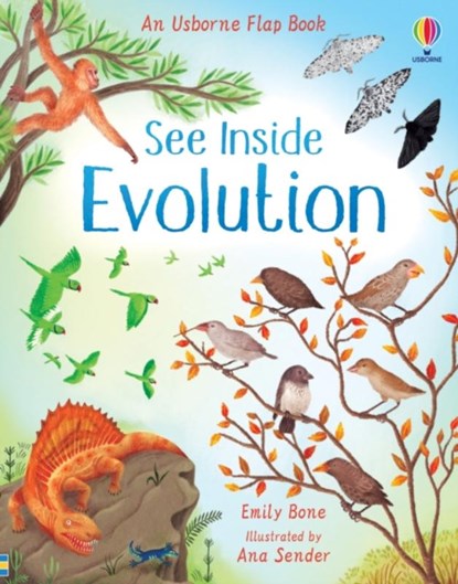 See Inside Evolution, Emily Bone - Gebonden - 9781474952798