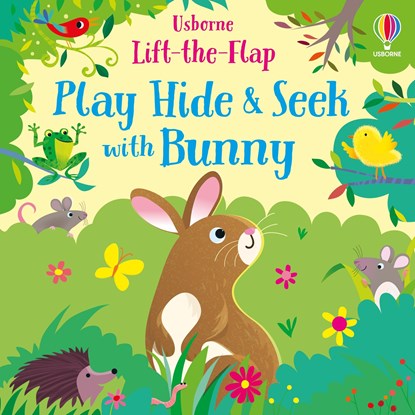 Play Hide and Seek with Bunny, Sam Taplin - Overig - 9781474985239
