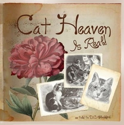 Cat Heaven Is Real, D.C. Blackbird - Ebook - 9781476015323