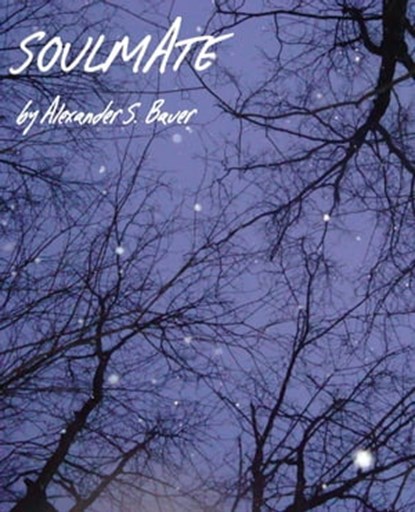 Soulmate, Alexander S. Bauer - Ebook - 9781476129075