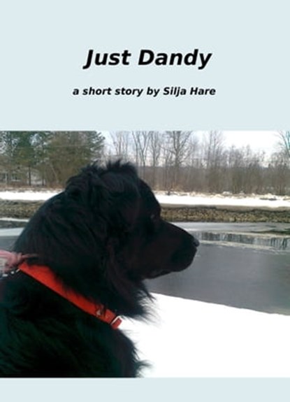 Just Dandy, Silja Hare - Ebook - 9781476129662