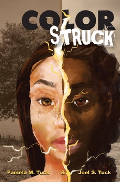 Color Struck, Pamela M. Tuck ; Joel S. Tuck - Ebook - 9781476236049
