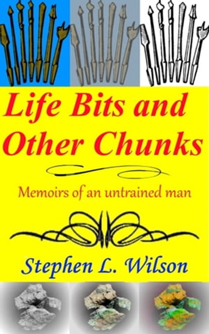 Life Bits and Other Chunks: Memoirs of an Untrained Man, Stephen L. Wilson - Ebook - 9781476308722