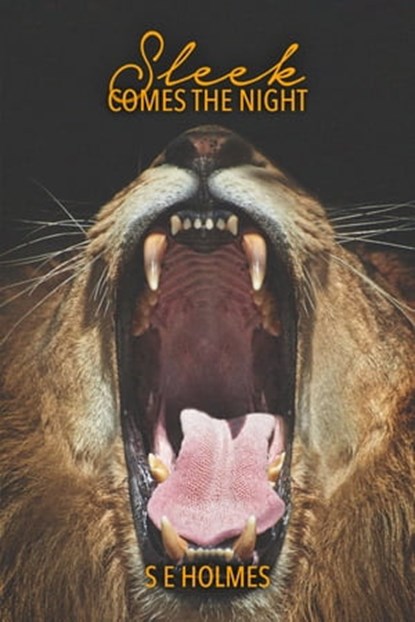 Sleek Comes the Night, S E Holmes - Ebook - 9781476319858