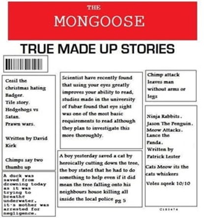 True Made Up Storys, David Kirk Patrick Lester - Ebook - 9781476331355