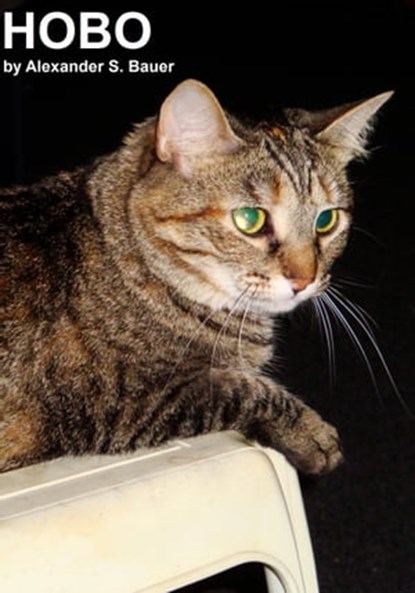 Hobo, Alexander S. Bauer - Ebook - 9781476342603