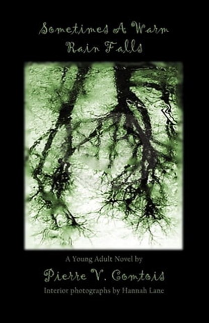 Sometimes a Warm Rain Falls, Pierre Comtois - Ebook - 9781476359342
