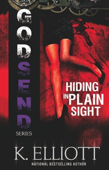 Godsend 4: Hiding In Plain Sight, K Elliott - Ebook - 9781476416908