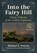 Into the Fairy Hill, Michael S. Newton - Paperback - 9781476690025
