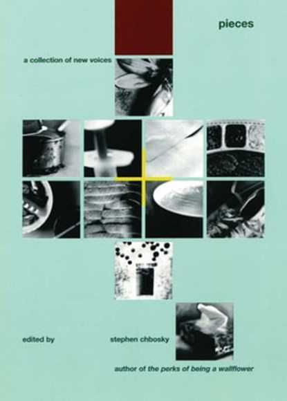 Pieces, niet bekend - Ebook - 9781476727905