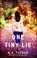 One Tiny Lie, K.A. Tucker - Paperback - 9781476740478